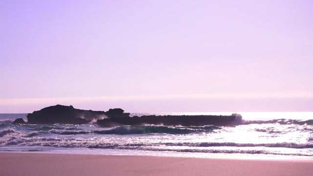 Beachpurple