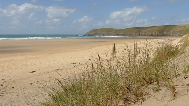 Beachsandy