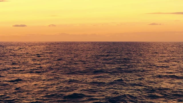 Ocean
