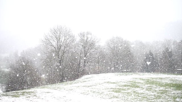 Snowfall